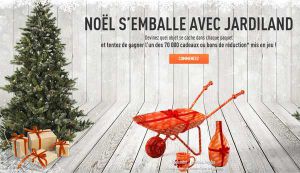 Jardiland Noël : 260 Sapins Picea Abies à gagner