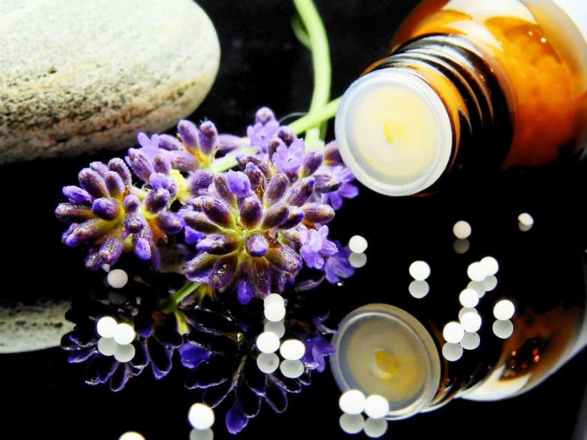 traitement homeopathique ortie