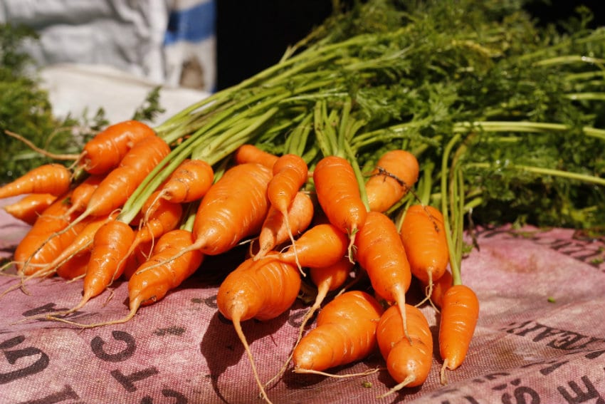 carottes-bac-a-legumes