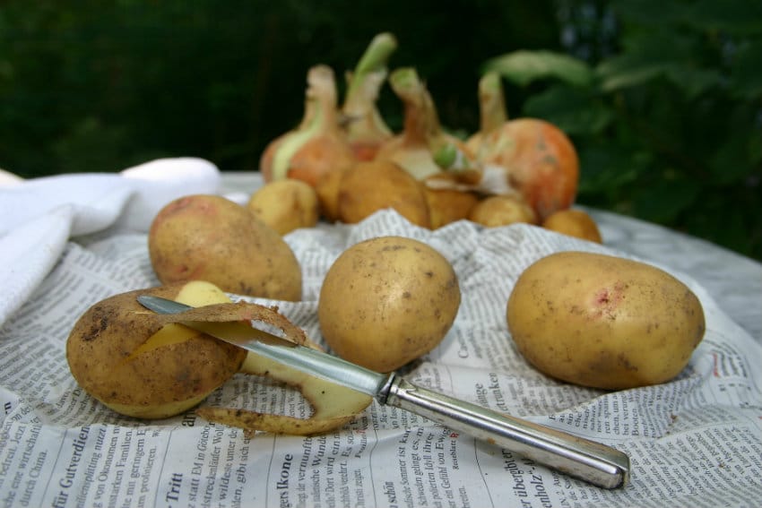 comment eplucher pommes de terre en 5 secondes