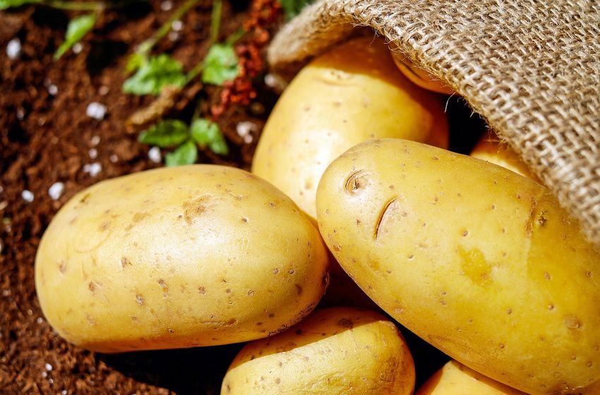10 kg de pommes de terre à moins de 2 € chez Lidl et Intermarché