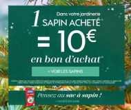 Sapin Auchan Noël 2018 Bon Dachat De 10 Offert