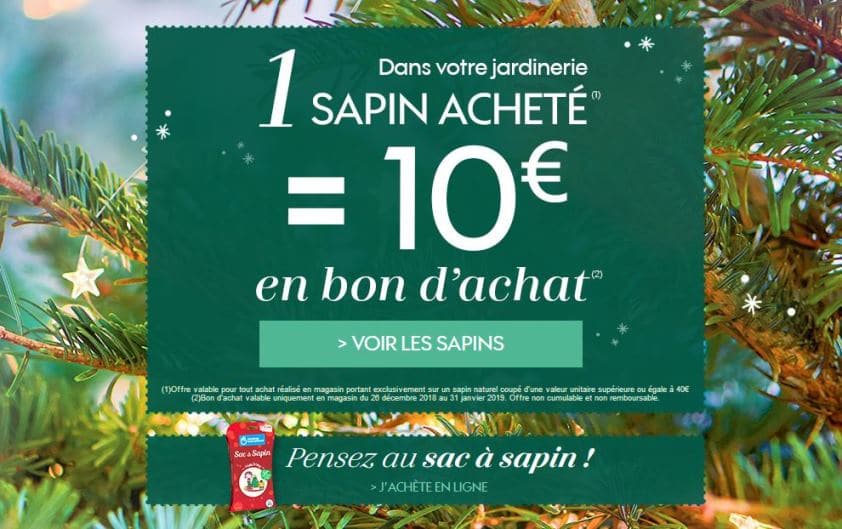 Sapin Truffaut Noël rapporté = 10 € offerts en bon d'achat