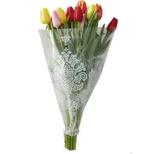 Bouquet de 15 tulipes pas cher à 3,99 € chez Auchan